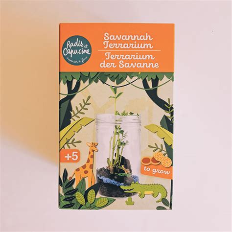 Terrarium Enfant Diy En Kit De La Savane Radis Et Capucine