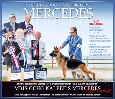 Kennel Club Of Freeborn County Minnesota Inc Sunday August 11