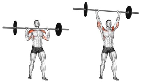 Barbell Upper Body Workout - Meanmuscles