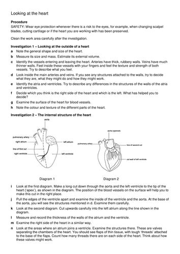 New 9 1 Gcse Aqa Biology B4 The Heart Teaching Resources