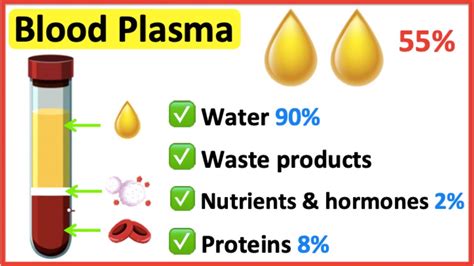 Blood plasma | What is the role of blood plasma? - YouTube