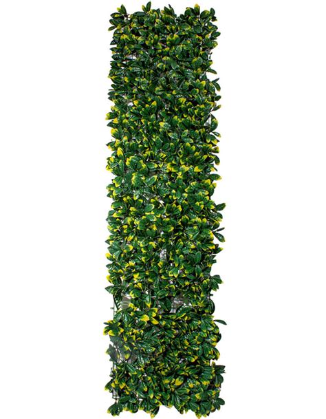 Фитомодули для вертикального озеленения - купить с доставкой в RePlants.ru
