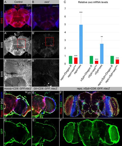 Figures And Data In Unraveling The Link Between Neuropathy Target