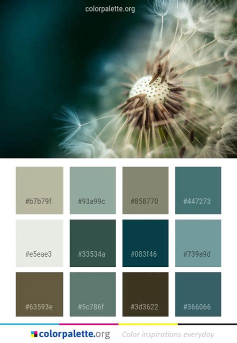 Flower Nature Dandelion Color Palette