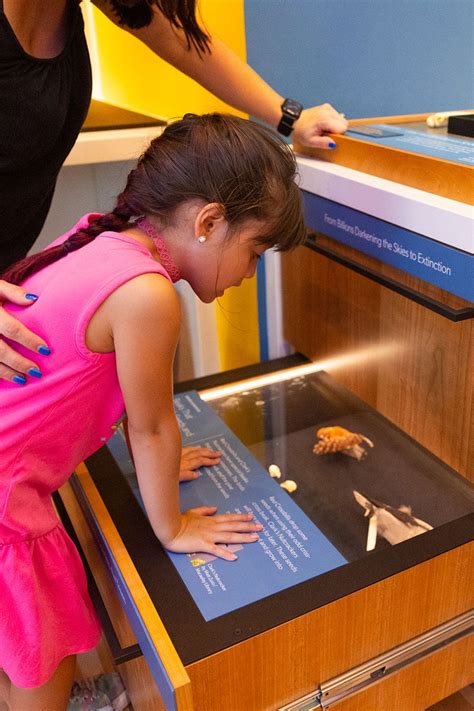 Visit Us | Birds, Cornell Lab of Ornithology