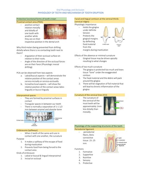 Solution Module 2 Physiology Of The Teeth And Their Supporting