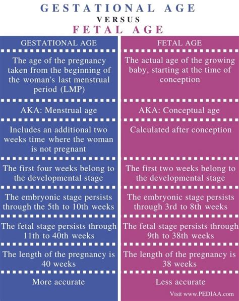 What Is The Difference Between Gestational Age And Fetal Age Pediaa