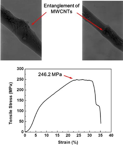 Fig S A Low And B High Magnification Fe Sem Images Of Pmia