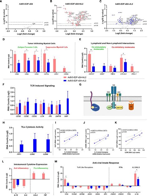 Frontiers Oncolytic Adenovirus Coding For A Variant Interleukin 2