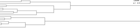 3 Cluster Analysis Dendrograms With The Two Cluster Solution A The