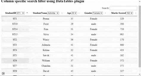 How To Implement Column Specific Search Filter Using Datatables Plugin