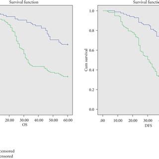 Kaplan Meier Curves Were Depicted To Estimate Os And Dfs Of A Patient