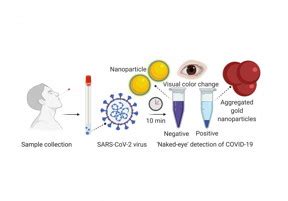 Nanotechnology Now Press Release Researchers Develop Experimental