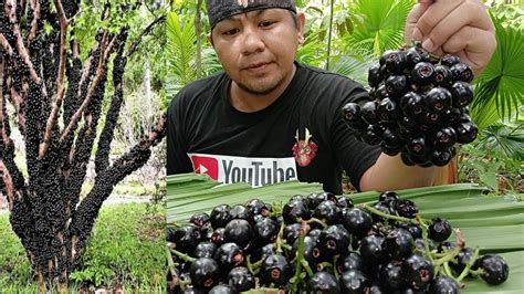 Baligang Kinain Ni Boy Tibay Lipote Fruits Boy Tibay🌶 Youtube