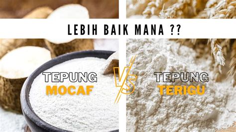 Perbedaan Tepung Mocaf Dan Tepung Terigu Mana Yang Terbaik