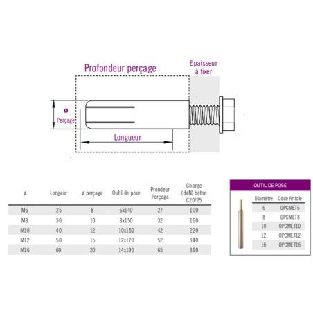 Boite 50 chevilles à expansion métalliques à frapper 10 x 40mm acier