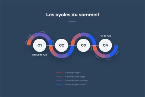 Les Cycles Du Sommeil Phases Dur E Et Fonctionnement Hypnia