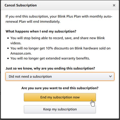 How To Cancel A Subscription Plan — Blink Support