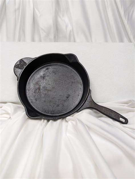 New Pioneer Woman Cast Iron Skillet 8” Pan 2 Pour Spouts And Hang Hold Butterfly Ebay