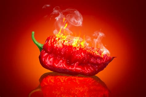 Top 8 Hottest Peppers In The World 2024 Bbc Science Focus Magazine