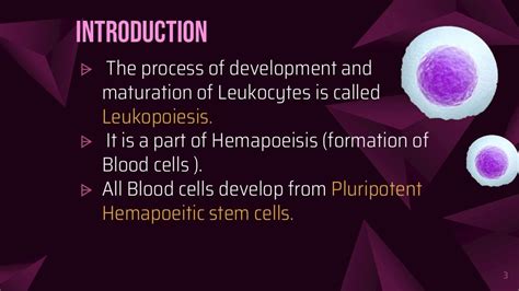 Leukopoiesis