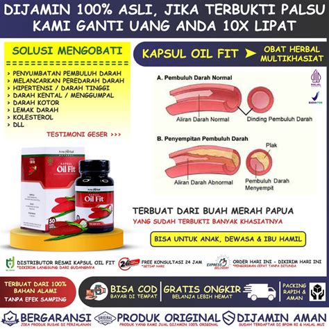 Jual Obat Penyumbatan Pembuluh Darah Melancarkan Peredaran Darah Lancar