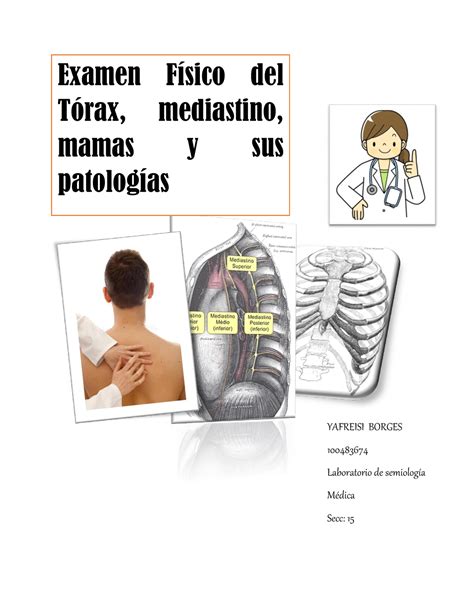 Examen fisico del torax mediastino y mamas Examen Físico del Tórax