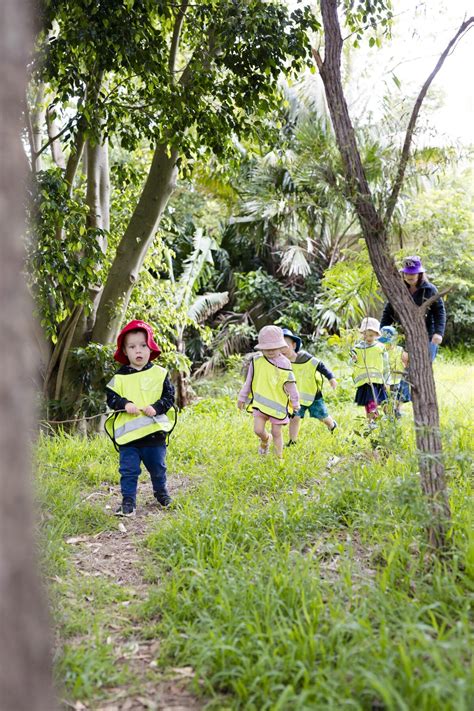 Bush Kinder Program — Sandon Point Childrens Centre Bulli