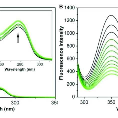 A Uv Vis Spectrum Of Bsa Reacted With Complex 3b 0 11 µm In