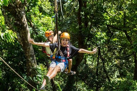 Daintree Rainforest Zipline And Wildlife Habitat Day Trip Triphobo