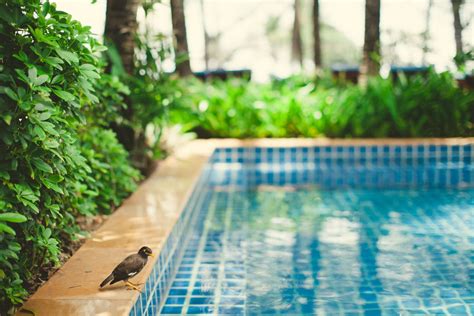 Phuket Thailand Graceland Resort Patong Phuket Thailand Phuket Thailand