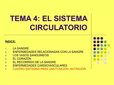 Sistema Circulatorio Humano Ppt