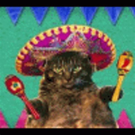 Cinco De GIF – Cinco De Mayo – discover and share GIFs