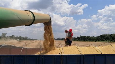 ANAPO plantea usar biotecnología para aprovechar el alza del precio de