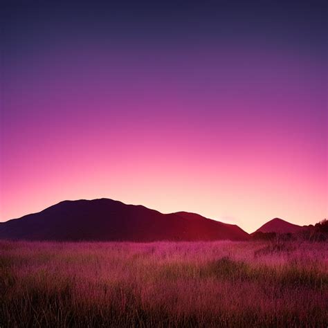 First Coyote Sunset Purple Pink Sky With Grass Field And Mountain