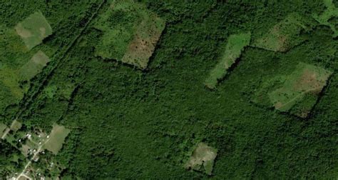 Lost Maya City Discovered Deep Inside Mexican Jungle