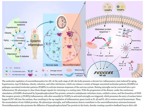 Physio Meets Science On Twitter Exercise Suppresses Neuroinflammation