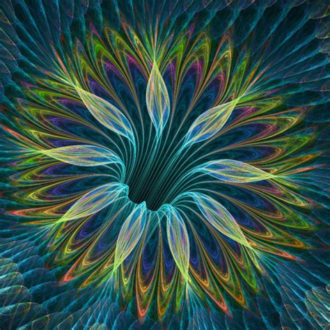 50 Beautiful Fractal Flowers