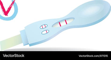 Pregnancy Tests Royalty Free Vector Image Vectorstock