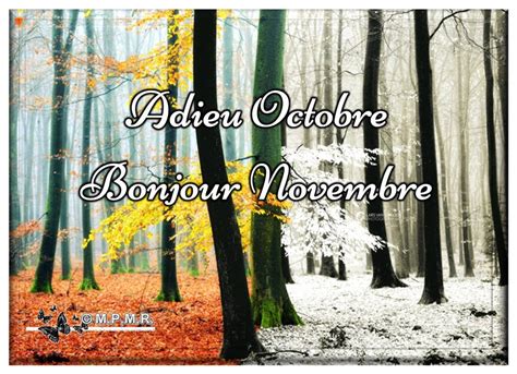 Novembre Images Photos Et Illustrations Pour Whatsapp Bonnes Images