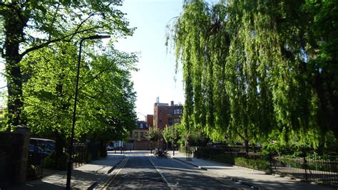 Clapton Pond Last Week The Clapton Pond Neighbourhood Action Group