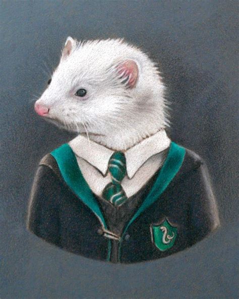 Draco Malfoy Ferret Art Print