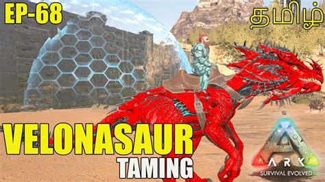 How To Tame Velonasaur Ark Survival Evolved Abilities SixFace