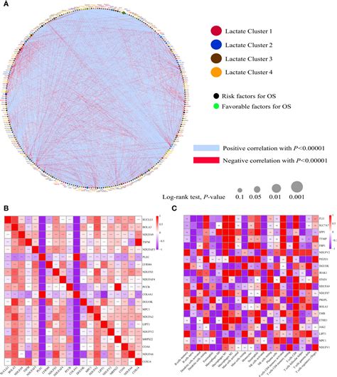 Frontiers A Lactate Metabolism Related Signature Predicting Patient