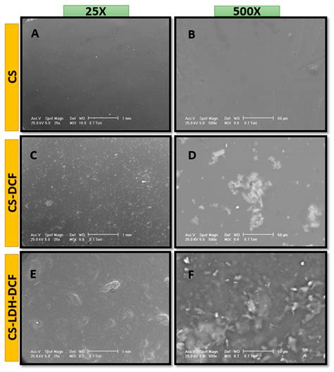 Membranes Free Full Text Preparation And Characterization Of Chitosan Ldh Composite