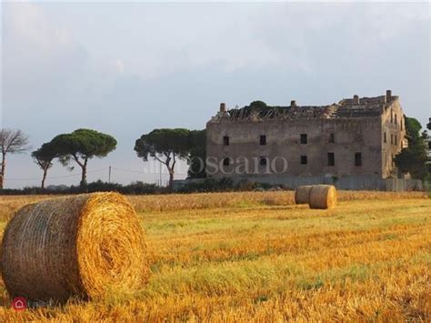 Rustici Casali In Vendita Nel Quartiere Casalotti Di Roma Casa It