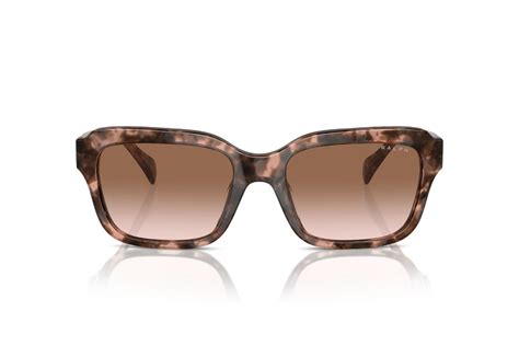 Ripley Lentes De Sol Rosado Havana Brillante Degrad Ralph