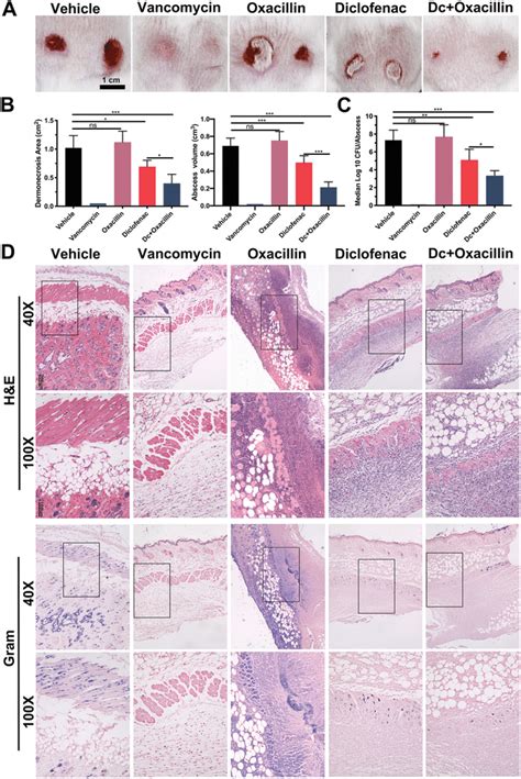 Murine Skin And Soft Tissue Infections Treated With Diclofenac Mg