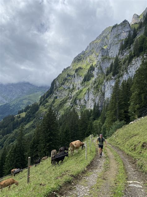 Lutersee Trail Running Loop August Accommodation Engelberg