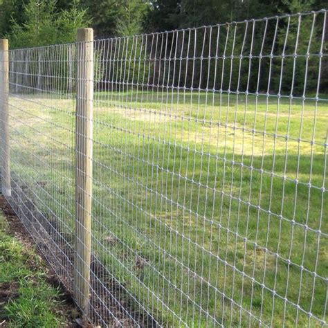 Wholesale Cheap Price Stainless Steel Woven Wire Field Fence Hebei